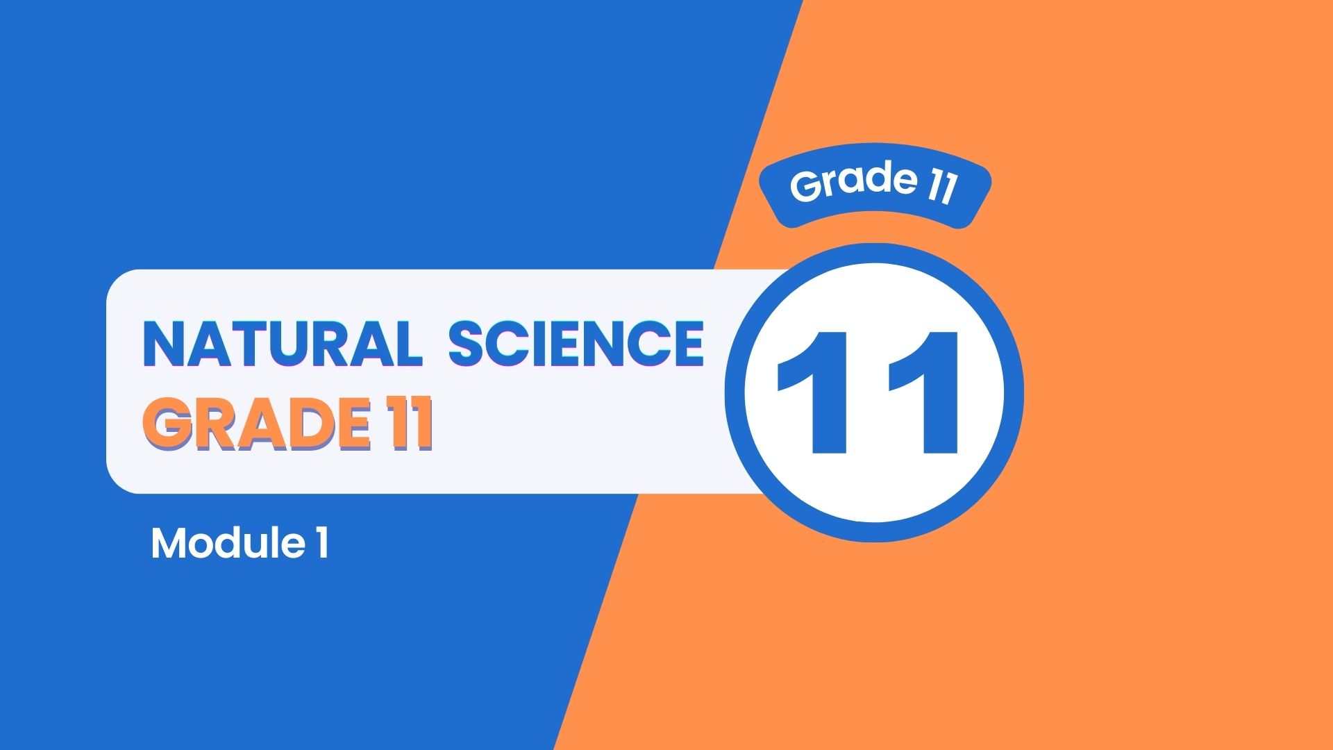 Grade 11: Natural Science