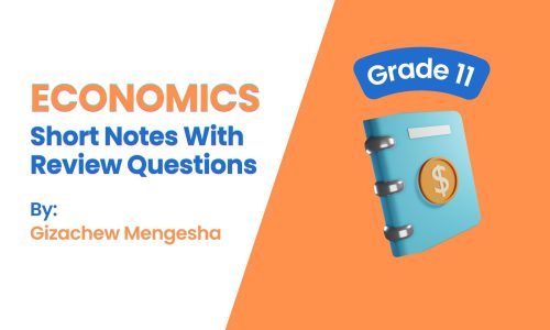 Economics Grade 11: Short Notes
